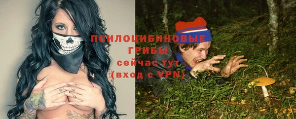 спиды Алексин